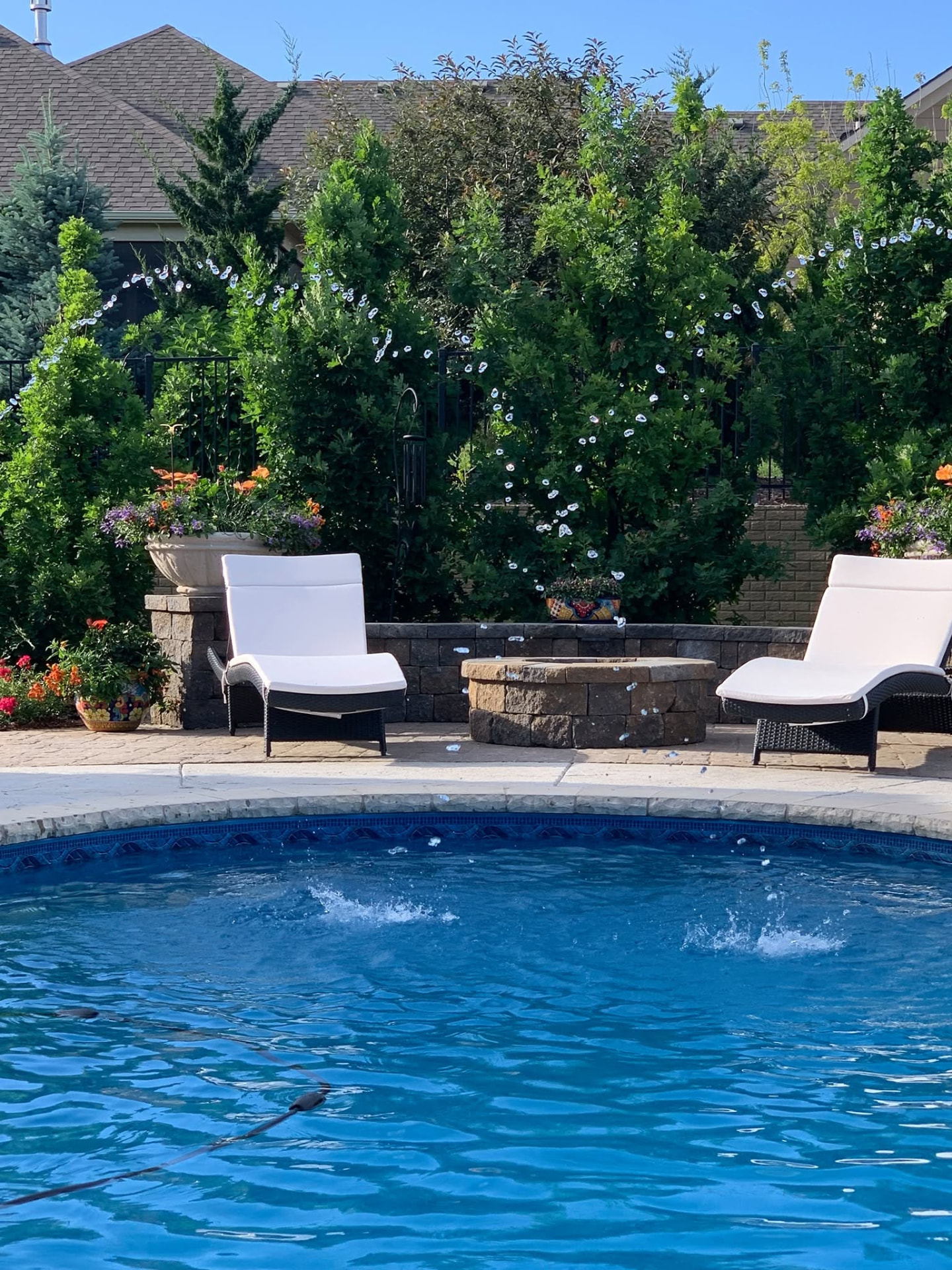 Backyard pool with fountain jets, loungers and evergreen planting